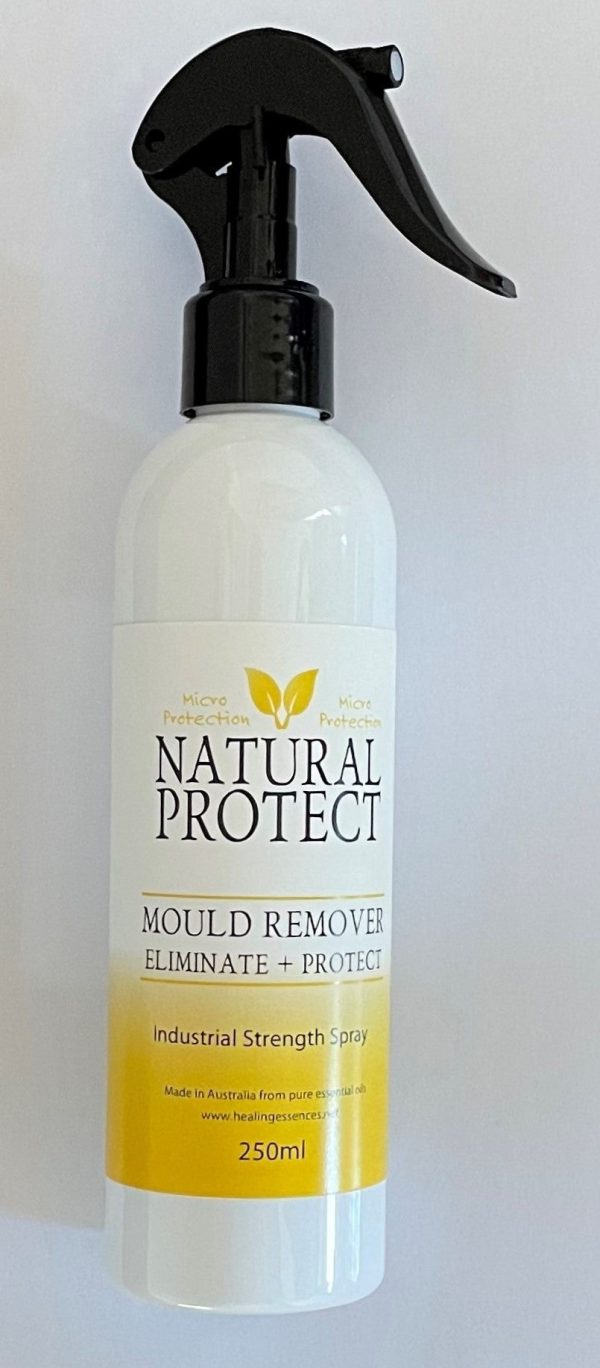 Find the right Natural Protect Micro Protect Clean surface mold spray on  the internet